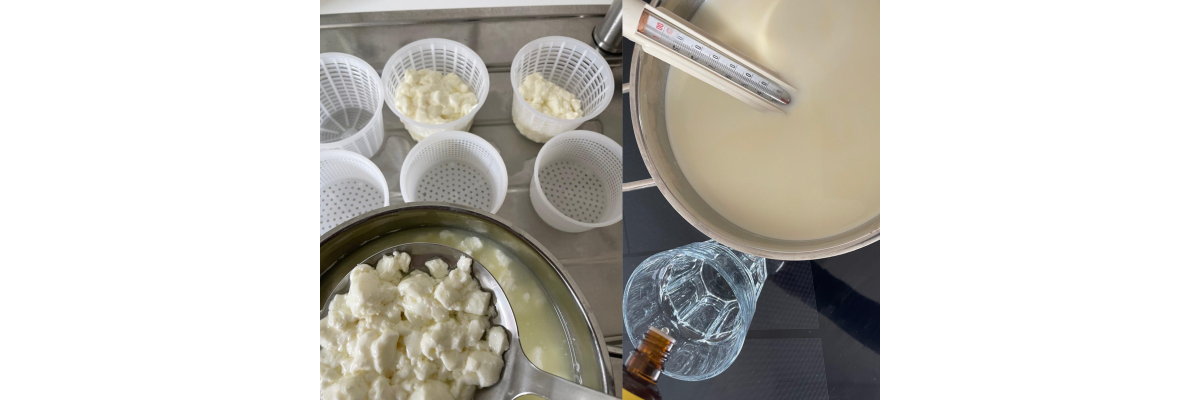 Käse selber machen: so gelingt es - 